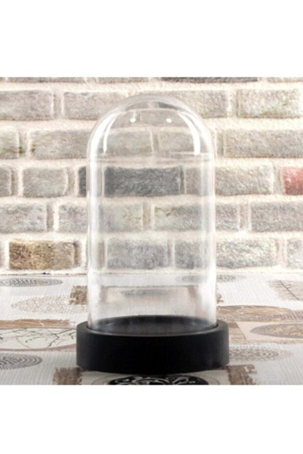 LED Işıklı Cam Fanus – 20x12 cm